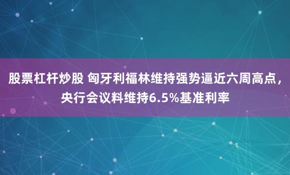 股票杠杆炒股 匈牙利福林维持强势逼近六周高点，央行会议料维持6.5%基准利率