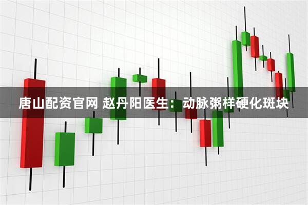 唐山配资官网 赵丹阳医生：动脉粥样硬化斑块
