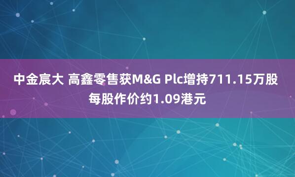 中金宸大 高鑫零售获M&G Plc增持711.15万股 每股作价约1.09港元